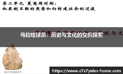 c7娱乐平台